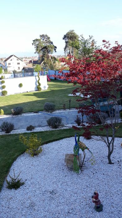 Amenajari gradini / Gazon Rulou / Sistem de irigații