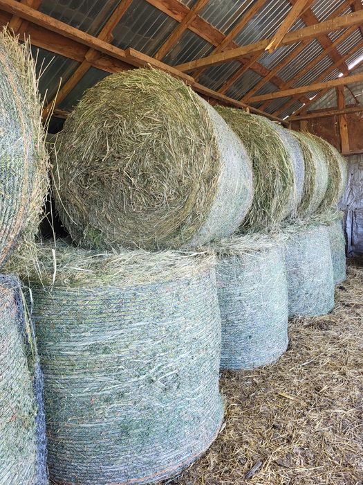 Baloti ciocani  lucerna  si paie 150/120