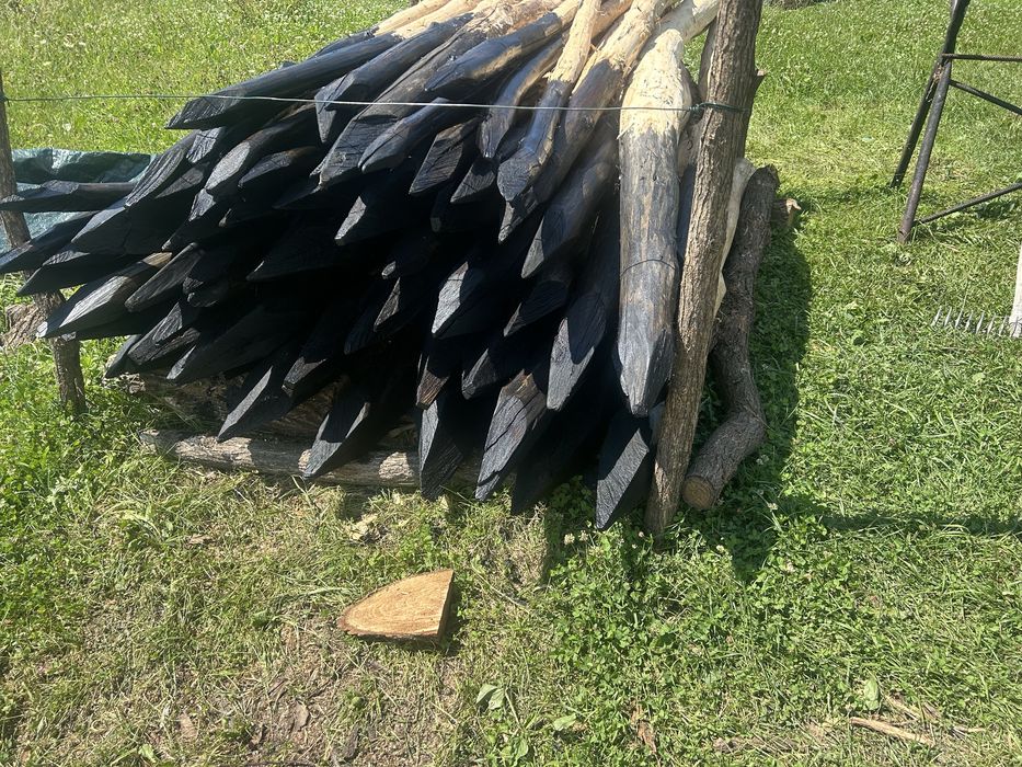 Pari de acat pentru gard