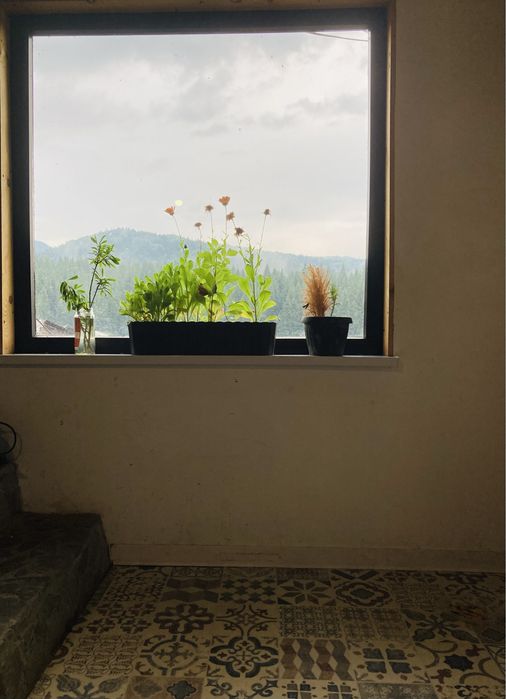 Teren si constructii off grid