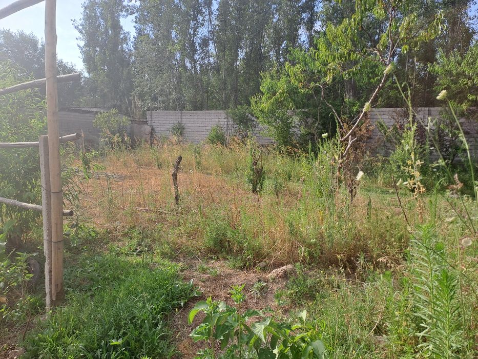 Земля дачный поселок