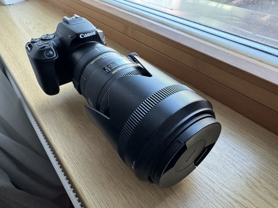 Canon EOS 250D + Sigma 70-200mm 1:2.8