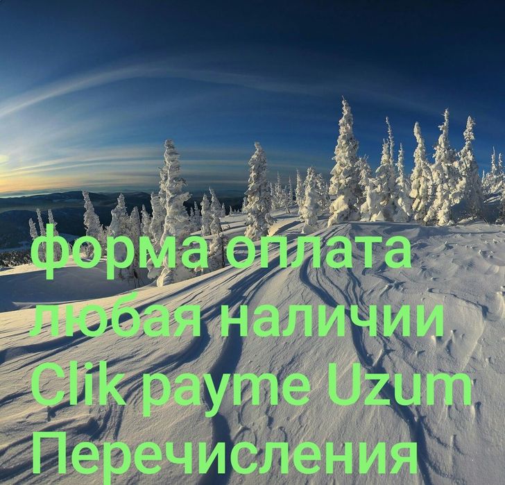 Автоэлектрик выезд грузовой и спец техника