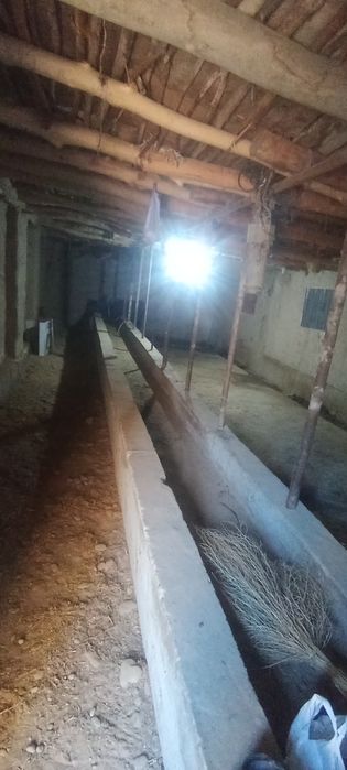 Uchaska 6 sotix uchaska