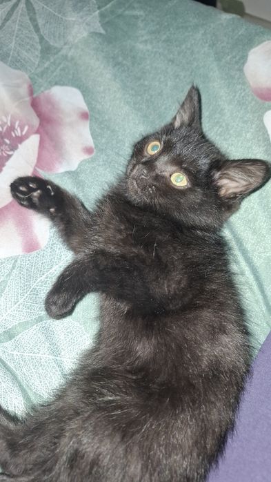 Отдадим мальчика в добрые руки