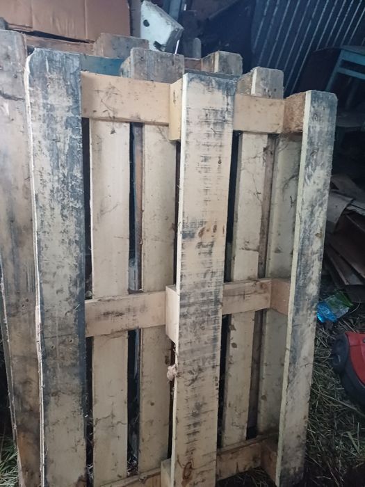 Продам Евро  палеты