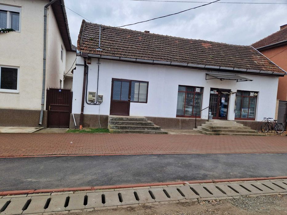 vand casa Sebis, Arad