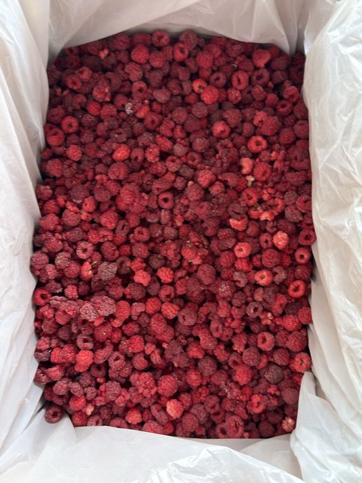 Продам замороженную малину