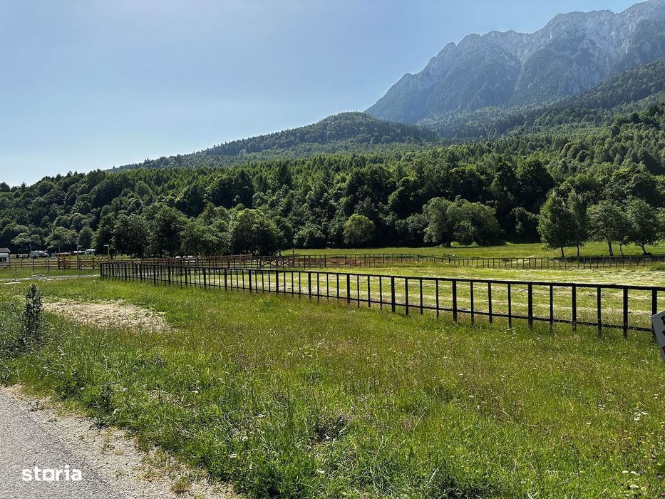 Teren intravilan - 1117 mp în Plaiul Foii