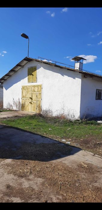 Dau in chirie hala, 300 mp utili, in com. Mihai Viteazu