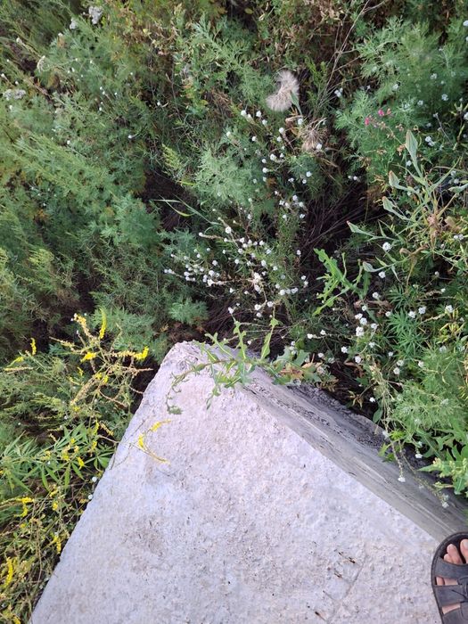 Продам землю 6 соток. Талапкер