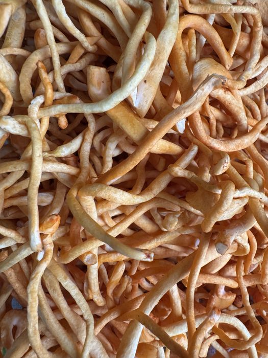 Кардицепс милитарис 100гр