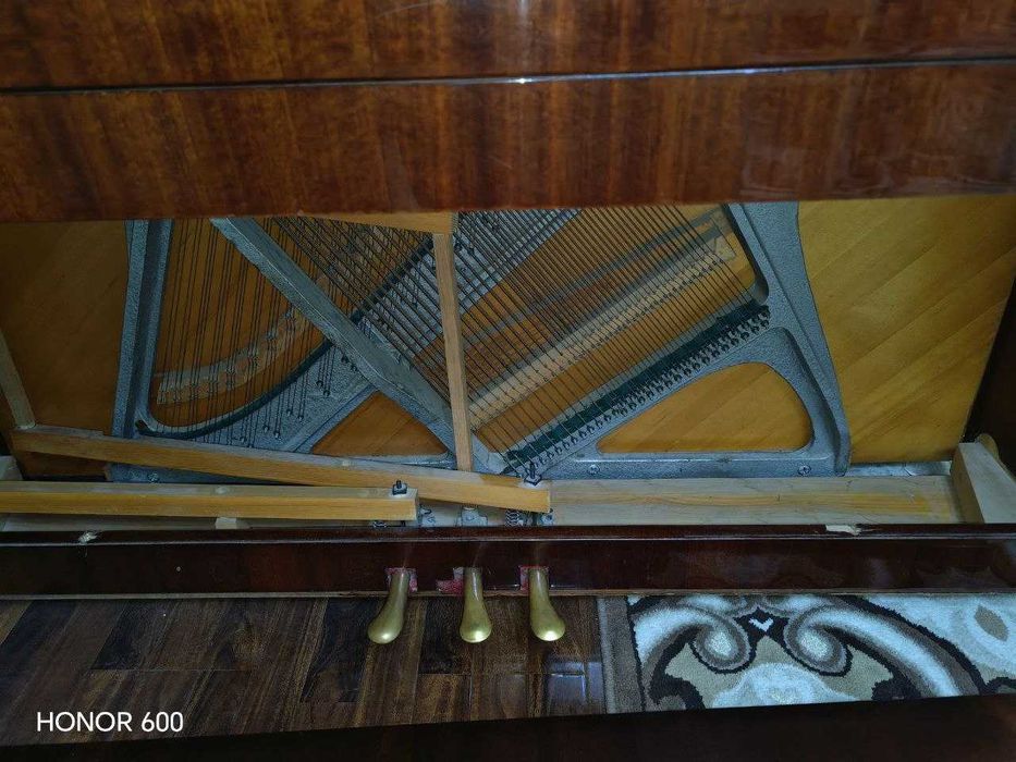 Forte Piano Belarus