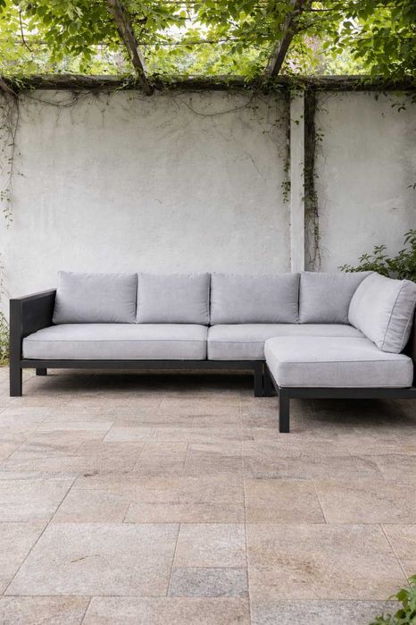 Плющ вечно зелёный