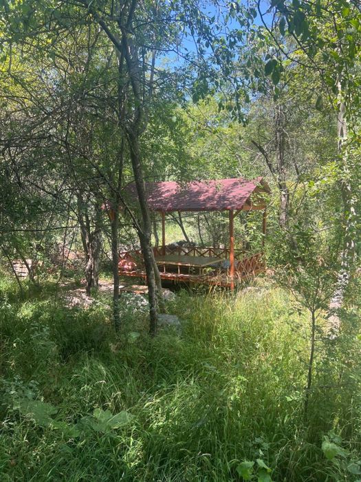 Сдам в аренду летнее кафе