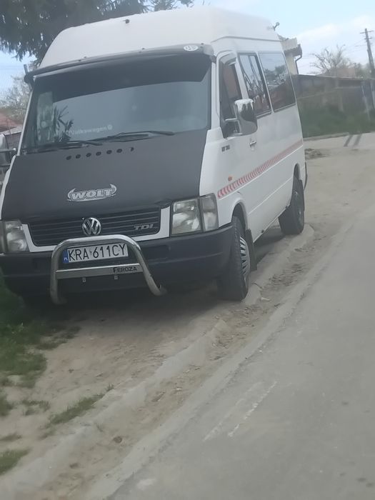 Vând elte de Polonia cu acte  valabile