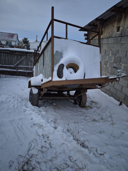 Услуги коневозка