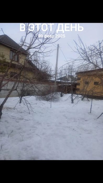 Обрезка плодовых деревьев кустарников