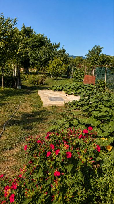 Casă + teren ~5.000 mp, livadă și anexe – Dragomirești, Vaslui