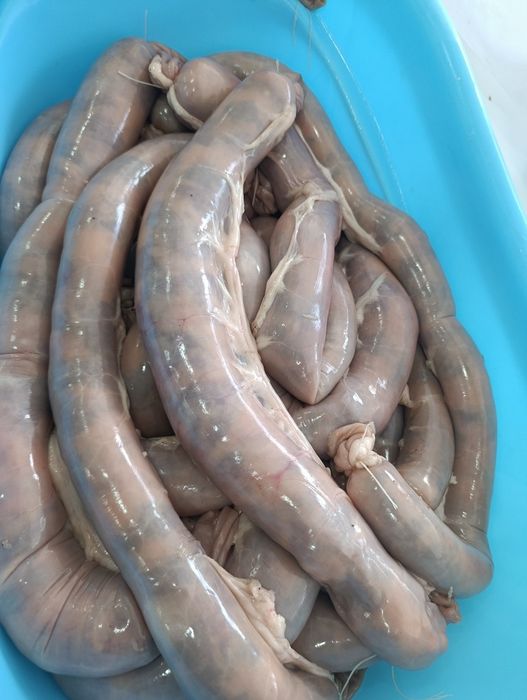 Продаем мяса конина табактап