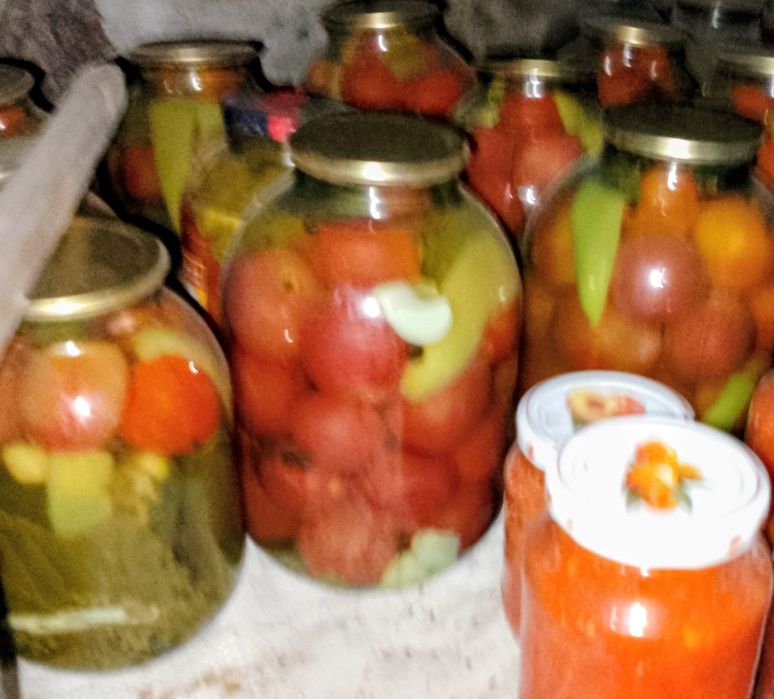 Помидоры свежей закрутки