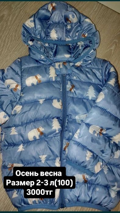 Детский куртка осень
