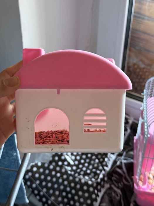 хомияк маленький