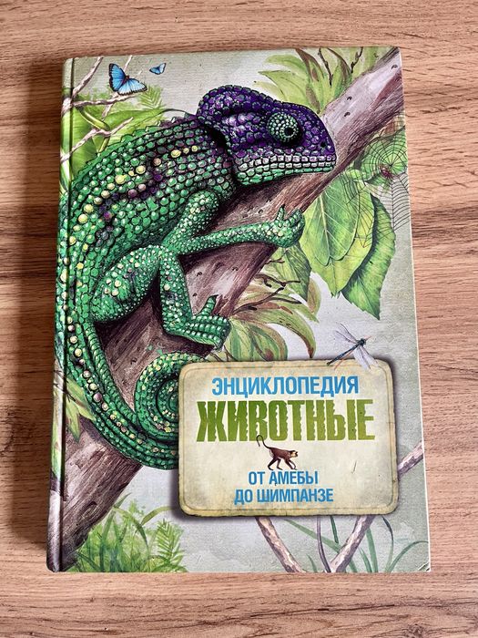 Книги энциклопедия и арифметика