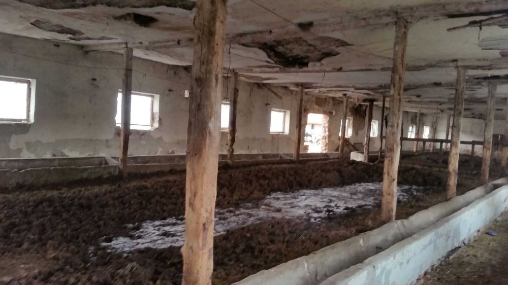 Продава се Парцел в с. Чешнегирово, Област Пловдив - 2751 кв.м за 20 €/кв.м - Снимка #7