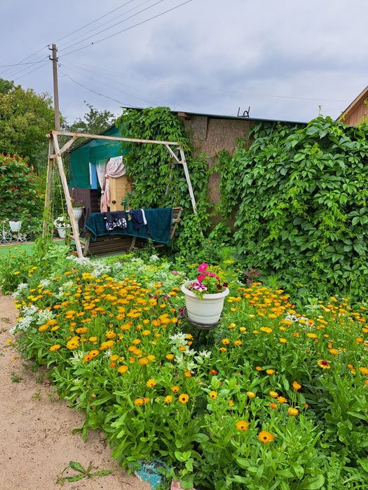 Продам дачу с.о Черёмушки