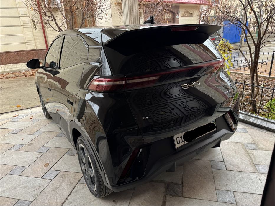 Официальный  BYD SEAGULL 15200$