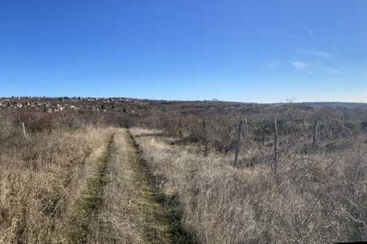 Продава се Парцел в Варна, Аспарухово - 8556 кв.м за 6 €/кв.м - Снимка #5