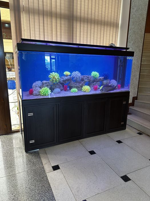 Aquashop аквариумы премиум класса