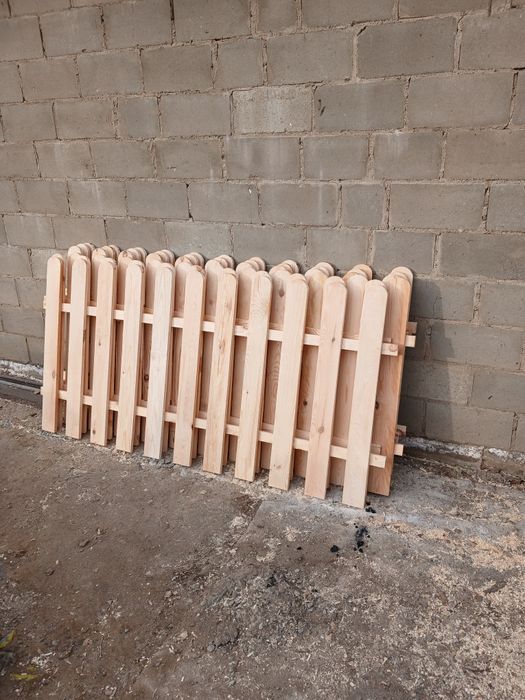 Евроштакеьник сосновый