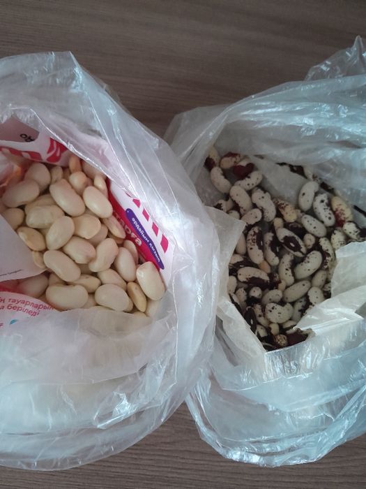 Продам дачные семена