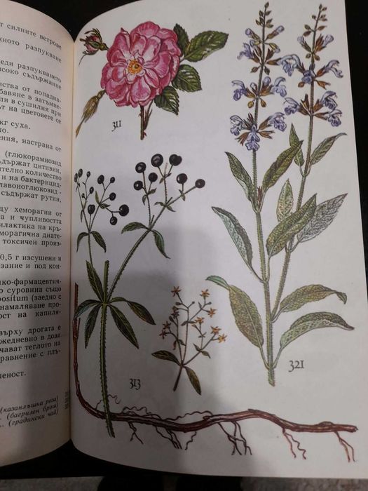 Книги Нашите лекарствени растения д-р Нено Стоянов част 1 и 2