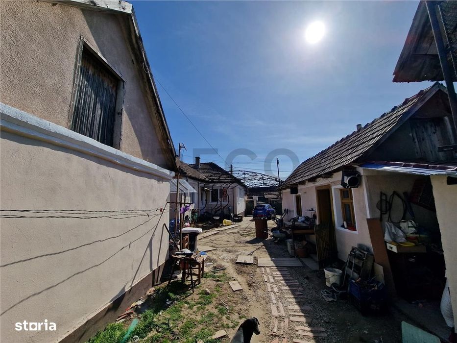 Teren mare cu 2 case in Sabolciu, com. Sacadat