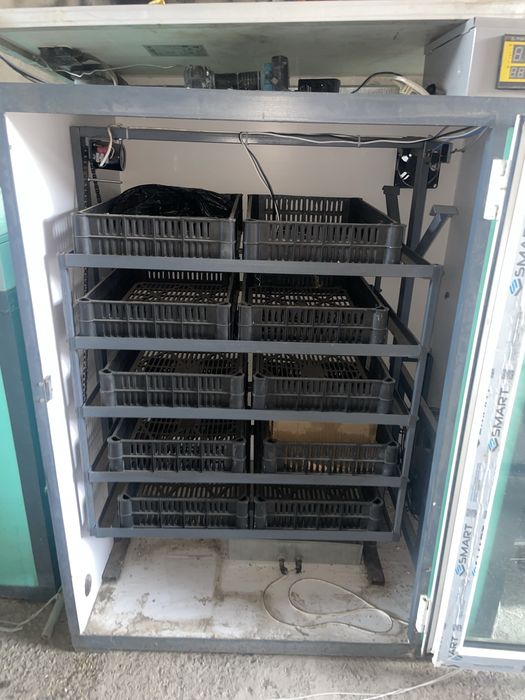 Инкубатор  170мың