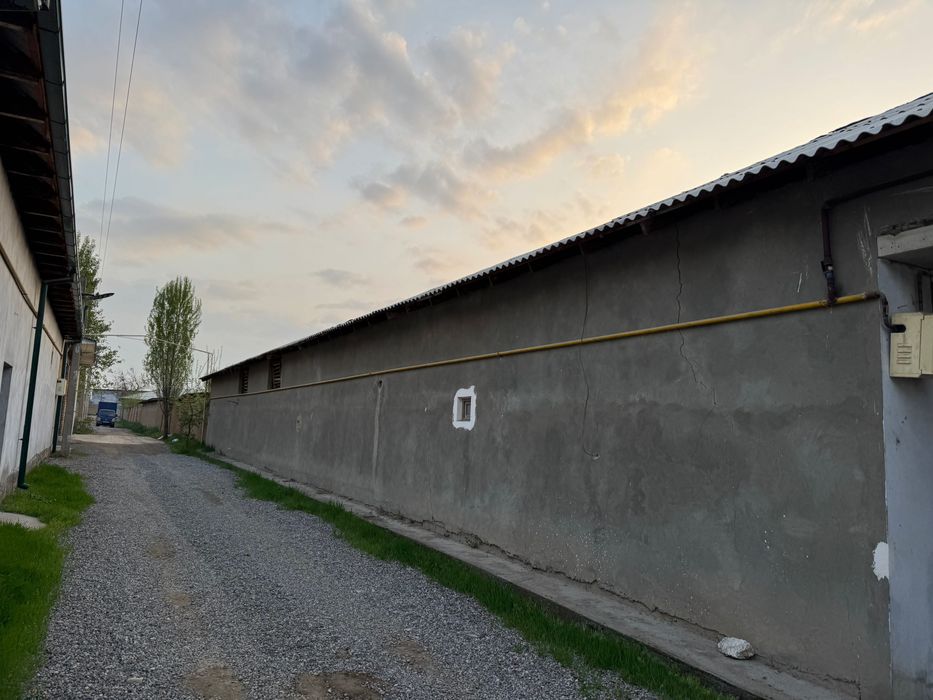 Yangiyolda 20 sotik ferma sotiladi hama sharoit bor