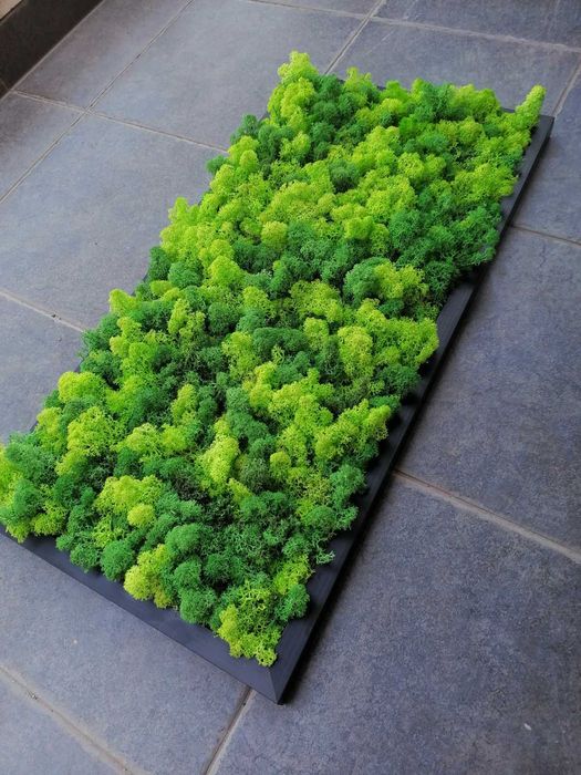 Пано от скандинавски мъх , Пана и картини по поръчка , декорация зелен скандинавски мъх с рамка или без