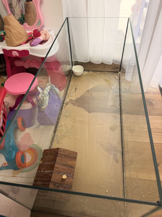 Acvariu rozatoare/ pesti / broaste testoare