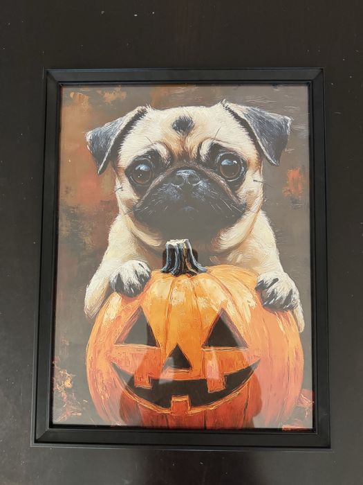 Картини мопс и други