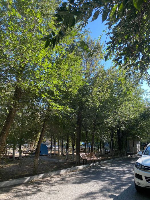 3-комнатная квартира в центре города