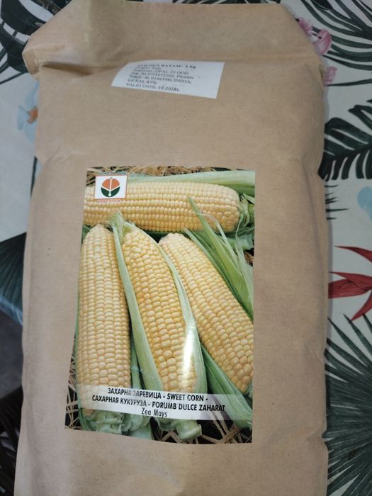 Porumb zaharat  la punga de 1 kg