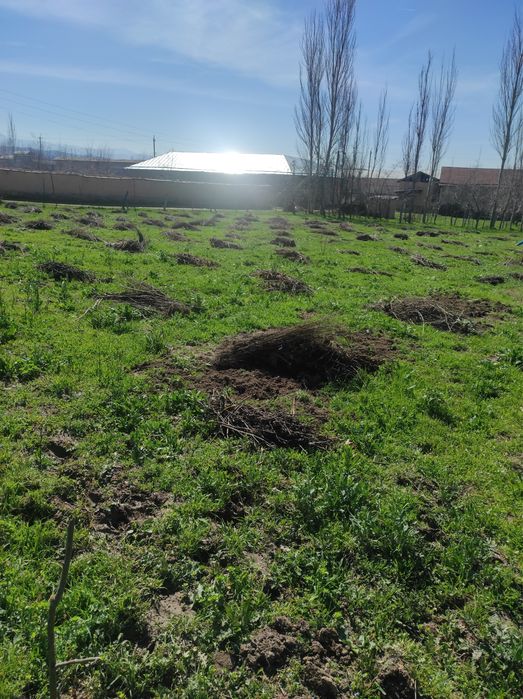 Йер сотилади, 16 сўток (8 сўтокдан ҳам бўлиб берилади)