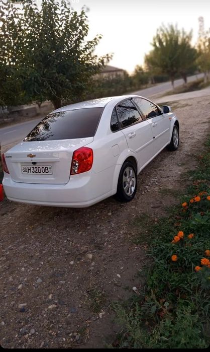 Жентра йили 2020