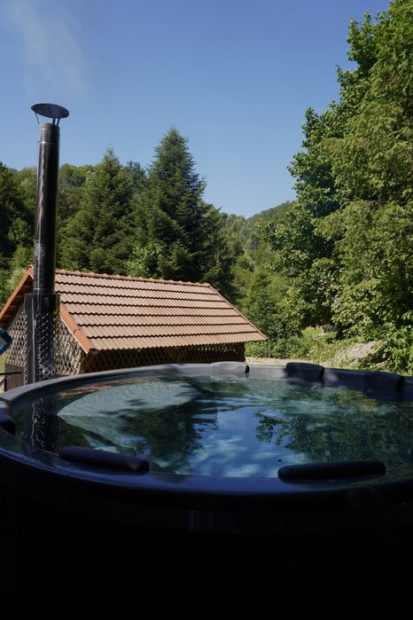 Cabană 13 persoane în jud. Arad de închiriat