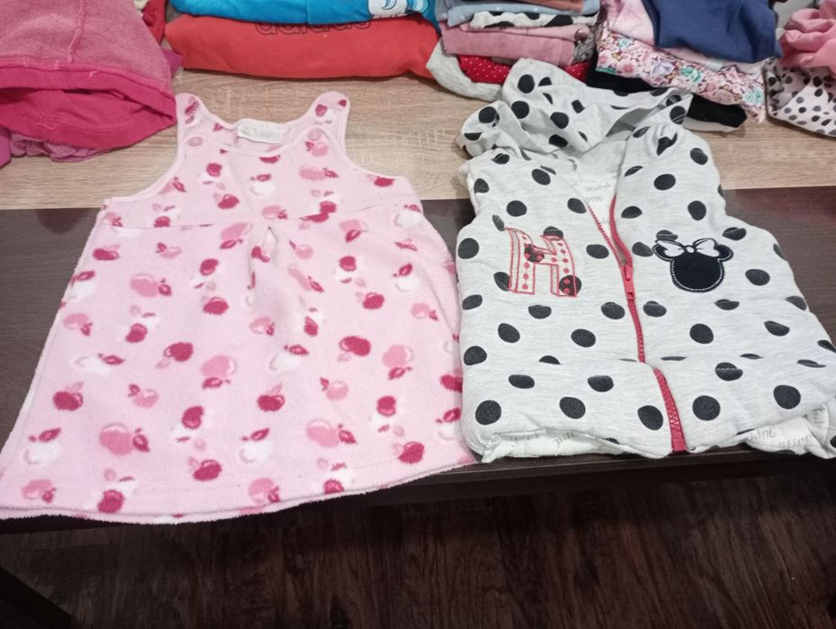 Vand lot primavara 1-2 ani