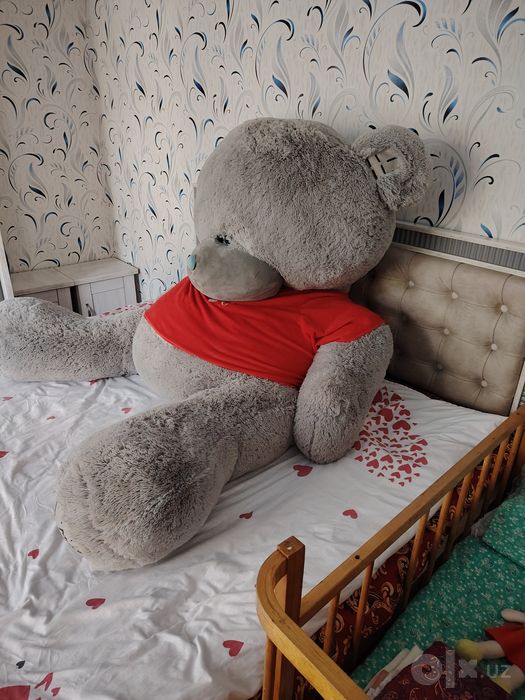 Teddy ayiqcha 1.80 sm holati yaxshi