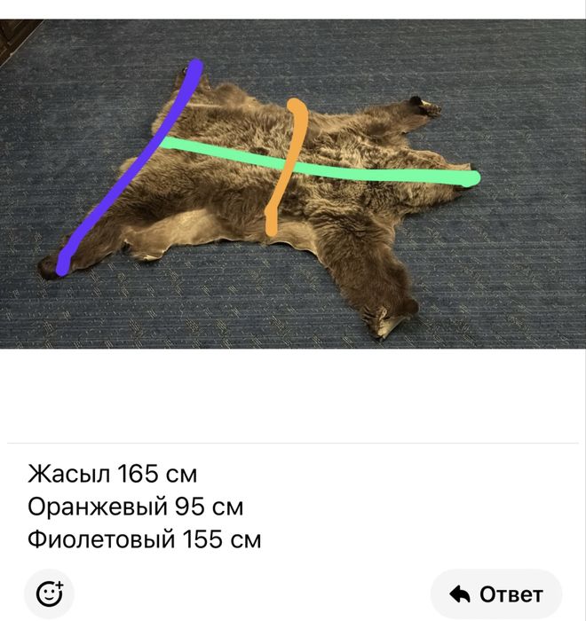 Чучело медведя настоящего